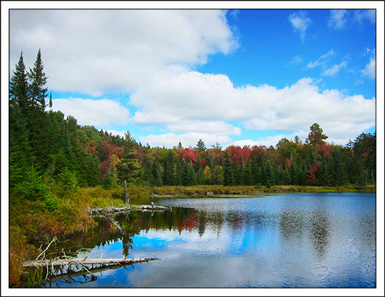 Long Pond from near Control Point 11 (27 September 2012)