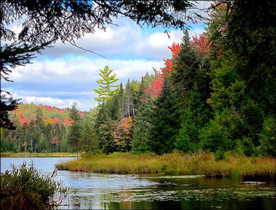 South end of Long Pond near the dam (27 September 2012)