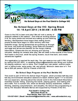 Nature Programs for Children | No School Days: Spring Break