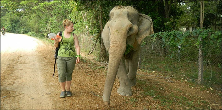 Nicole Schmidt. Wildlife Friends Foundation Thailand.  Photo courtesy of Nicole Schmidt.  Used by permission.