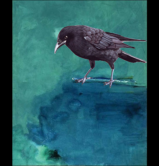 Linda Sauther: Curious Crow.  Digital art.