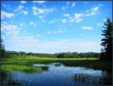 Adirondack Wetlands:  Heron Marsh from the floating bridge at the Paul Smiths VIC