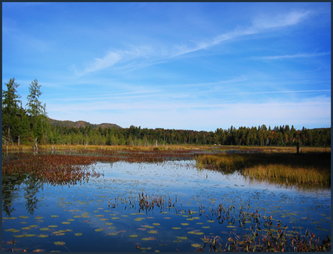 Fall color in the Adirondacks:  Heron Marsh from the floating bridge at the Paul Smiths VIC