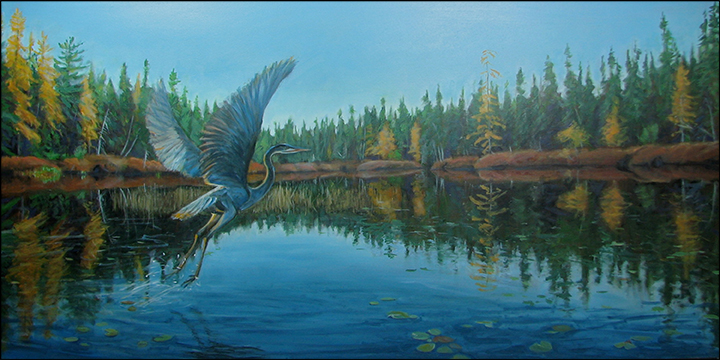 Sandra Hildreth: Great Blue Heron, Osgood River 