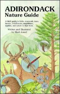 Sheri Amsel: Adirondack Nature Guide