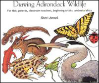 Sheri Amsel: Drawing Adirondack Wildlife
