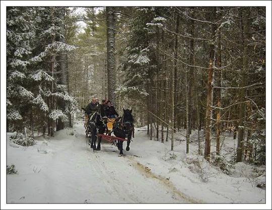 Horse-drawn Sleigh Ride  at the Paul Smiths VIC (2012)