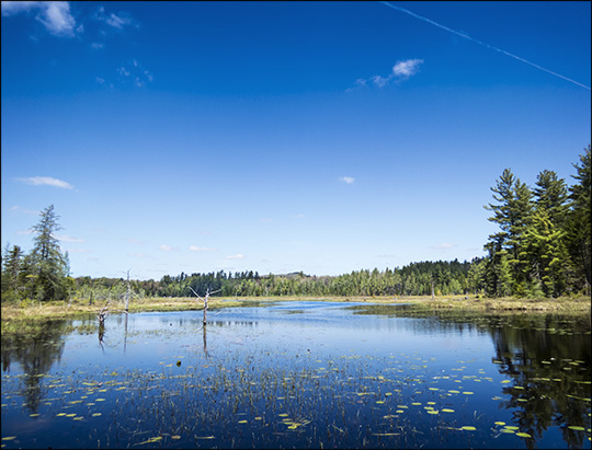 Adirondack Wetlands: Heron Marsh from the floating bridge on the Woods and Waters Trail at the Paul Smiths VIC (17 May 2015)