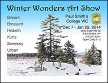 Winter Wonders Art Show Flyer