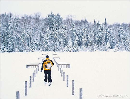 Adirondack Wetlands: Floating Bridge over Heron Marsh. Photo courtesy of Nancie Battaglia. Used by permission.