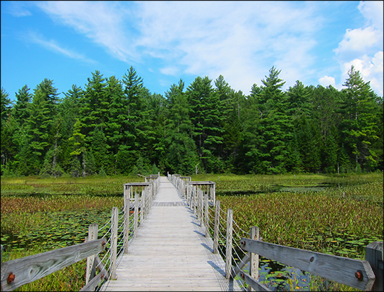 Adirondack Wetlands: Floating Bridge over Heron Marsh (25 August 2012)