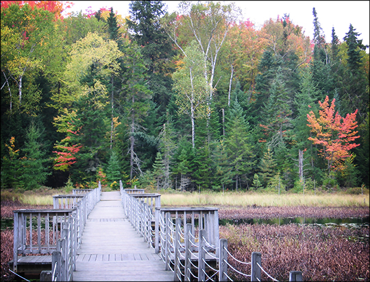 Adirondack Wetlands: Floating Bridge over Heron Marsh (29 September 2012)